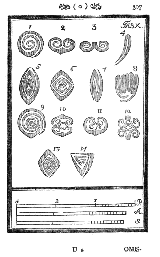 Tabula X. Foliatio