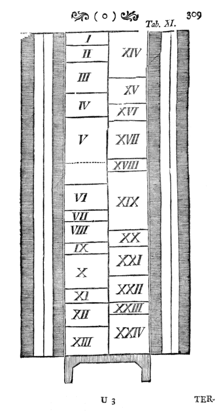 Tabula X [Herbarium]